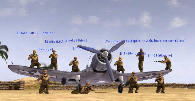 surfelk_02.jpg
